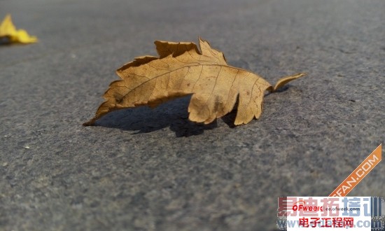 ���ּ���  ����MX4��ʽ���⣺����MX3���������Ŵ���MX3