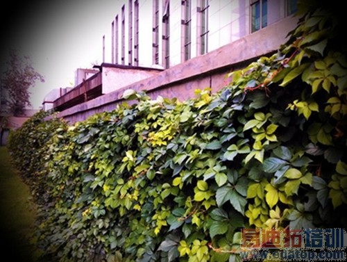 �׿��ͨ������˺� HTC 820���⣺����MX4/iphone6�Աȸ�