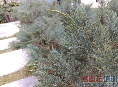 �׿��ͨ������˺� HTC 820���⣺����MX4/iphone6�Աȸ�