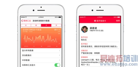 ȫ����õ��ֻ� û��֮һ��ƻ��iPhone6&6 Plus����