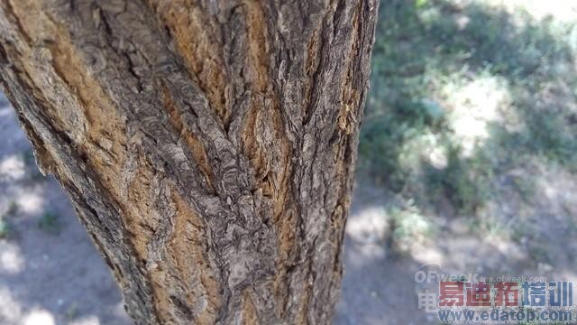 iPhone6���������ɴ���F1��F2�Ա�������ӭս 