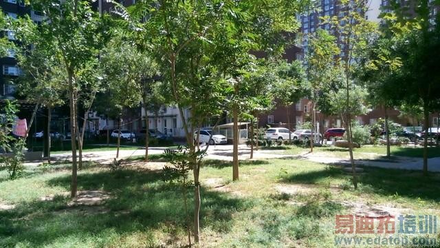 iPhone6���������ɴ���F1��F2�Ա�������ӭս 