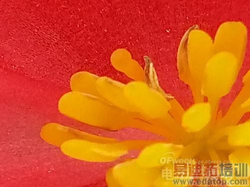 �����⡿����MX4�������� 2070���������᾵ͷ����ͼ�ͣ�