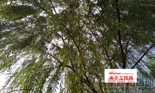 MX4/iPhone 6������ȶԱ����⣺800ײ��2070˭�䲻һ����