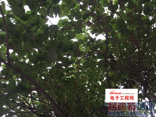 MX4/iPhone 6������ȶԱ����⣺800ײ��2070˭�䲻һ����