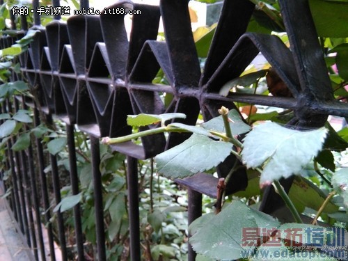 ��Ϊ��ҫ����4���⣺����ô���� �����콢֪����