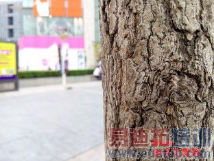 ����MX4/С��4�ռ��Ա����⣺200Ԫ��۾��������Ķ���