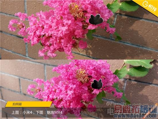 ����MX4�Ա�С��4�������ˮ�� ���������