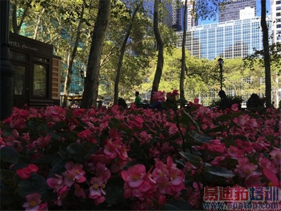 ��ɱ������ͷ��iPhone 6 Plus������������ ���۵���ʱ