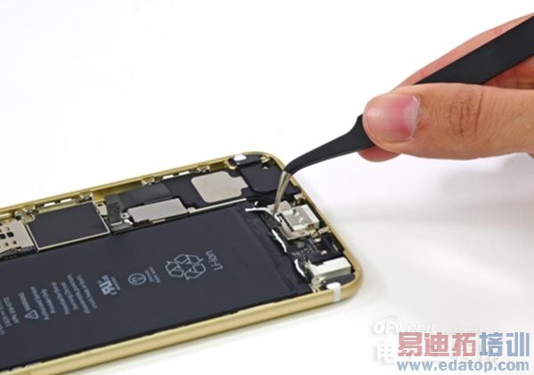 iPhone6 Plus����ͣ���տ��