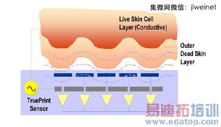 �����ն�ָ��ʶ����ҵ�������棨ͼ�ģ�