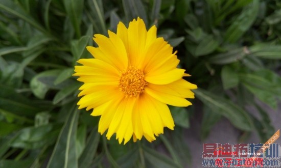 ����MX4/IUNI U3��ȶԱ����⣺�Լ۱��걬С��4/iPhone6