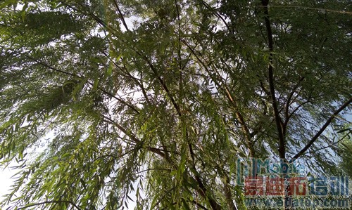 ����2070������ͷ�ﱤ�� ����MX4�������⣨ʵͼ��