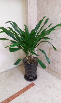 ����2070������ͷ�ﱤ�� ����MX4�������⣨ʵͼ��