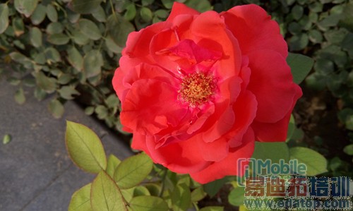 ����2070������ͷ�ﱤ�� ����MX4�������⣨ʵͼ��