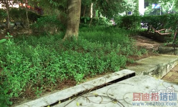 魅族MX4全方位评测:秒杀小米4/Mte7/Note4的不只价格