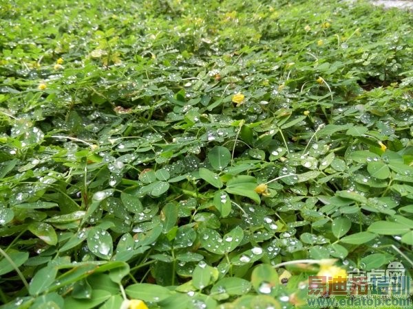 魅族MX4全方位评测:秒杀小米4/Mte7/Note4的不只价格