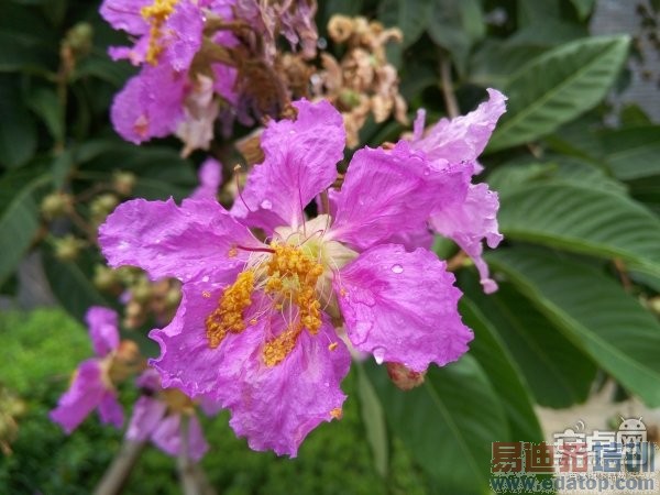 魅族MX4全方位评测:秒杀小米4/Mte7/Note4的不只价格