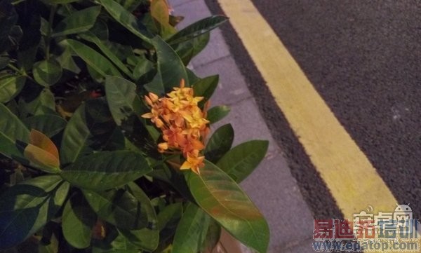 ����MX4ȫ��λ���⣺��ɱС��4/Mte7/Note4�Ĳ�ֻ�۸�