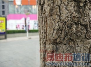 ����MX4/С��4��·��� ˭�ճưԣ�