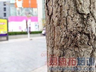 ����MX4/С��4��·��� ˭�ճưԣ�