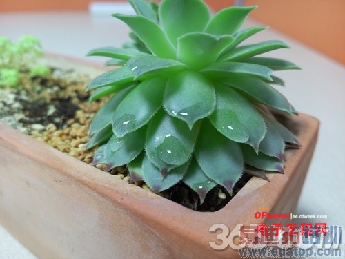 ����MX4�Աȴ����ֻ�T1���⣺1799��ɱ