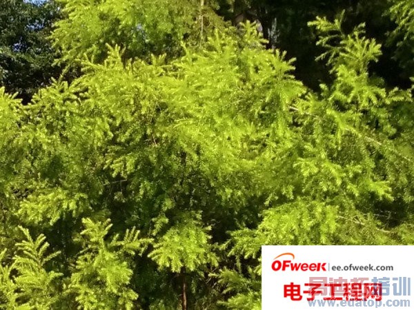 ��һ��IUNI U3�Ա�IUNI U2�����˽�ɱǰ�ˣ�