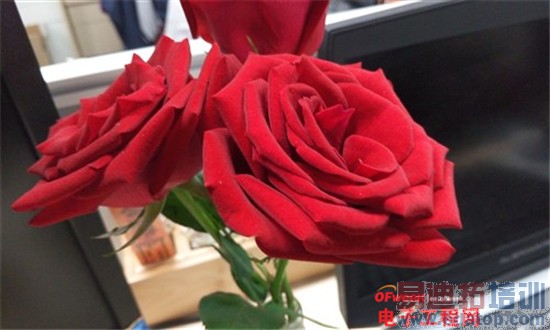 ����MX4/��Ϊ��ҫ6�Ա����⣺��˼����920PK������MT6595