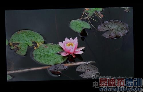 �ƶ�4G��С��4������ԣ�����������MX4�����̰�