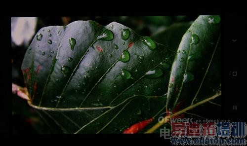 �ƶ�4G��С��4������ԣ�����������MX4�����̰�