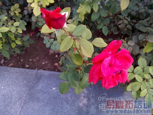 �ƶ�4G��С��4������ԣ�����������MX4�����̰�