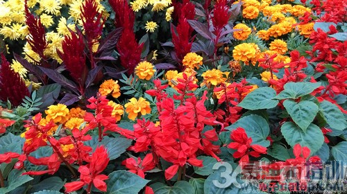 ����MX4/HTC820�Ա����⣺������MT6595