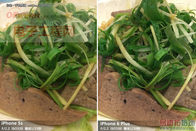 �������������Ծ� iPhone 5s/6/6 Plus���նԱ�