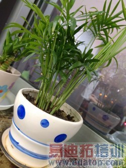 【上手体验】魅族MX4拍照评测 索尼2070w像素不是盖的!