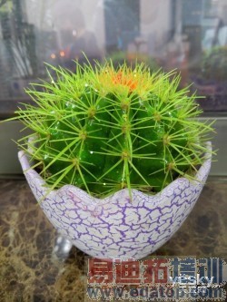 【上手体验】魅族MX4拍照评测 索尼2070w像素不是盖的!