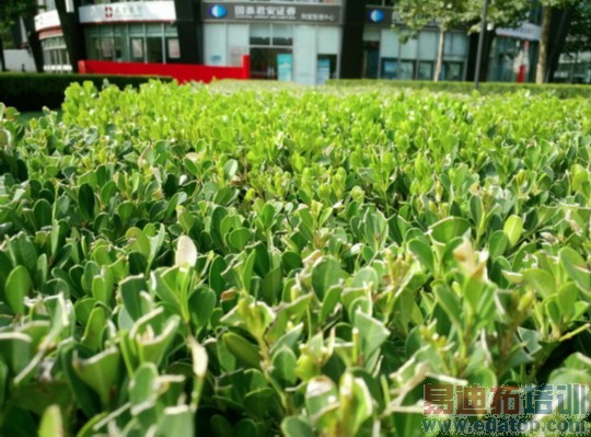 IUNI U3���⣺2K����������MX4 Pro ����801�ȼ�С��4