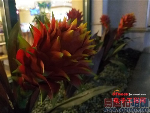 ����MX4���ʴ���ܣ���ת����MX4��֪�ػ�