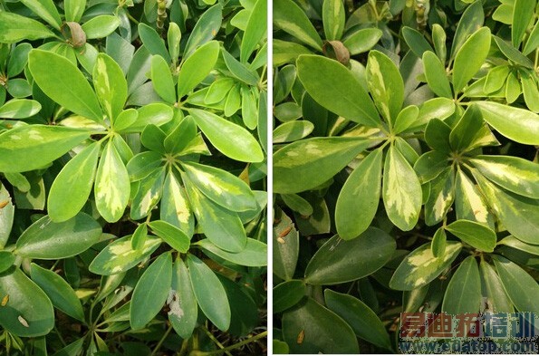 U3�Ա�һ�ӣ�1��Ǯ�Ĳ����� ��С��4�Ķ�����