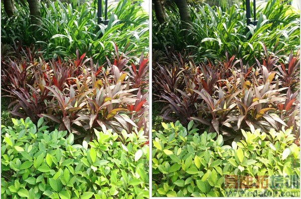 U3�Ա�һ�ӣ�1��Ǯ�Ĳ����� ��С��4�Ķ�����