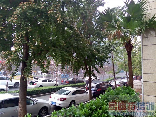 ���ȷ��Ƚ�������MX4������� Ϊ���������ɵ㣨ͼ�飩