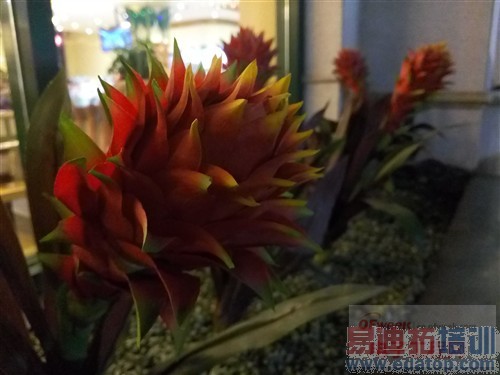 ���ȷ��Ƚ�������MX4������� Ϊ���������ɵ㣨ͼ�飩