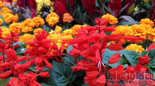 HTC Desire 820���⣺��ͨ�����˺����� ����MX4/С��4��ǿ��