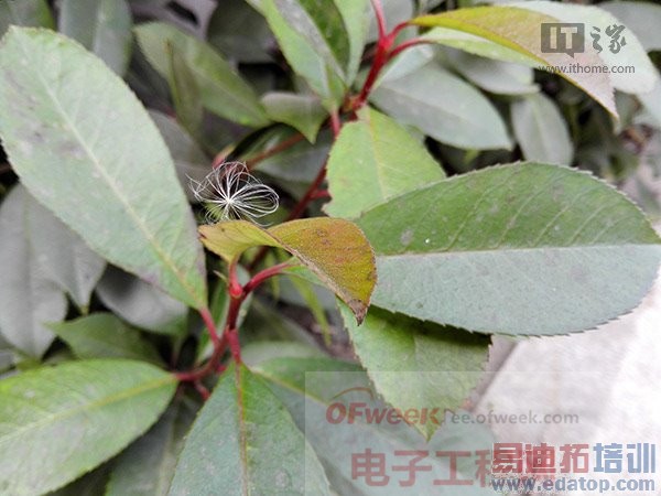 【头条】华为Mate7详细评测系列之:硬件性能和拍照篇