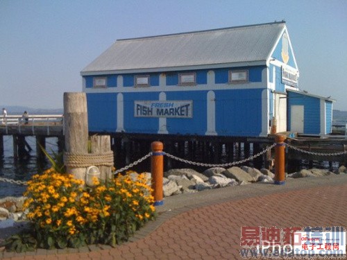 MX4�����ӣ�iPhone6����ƻ���������������