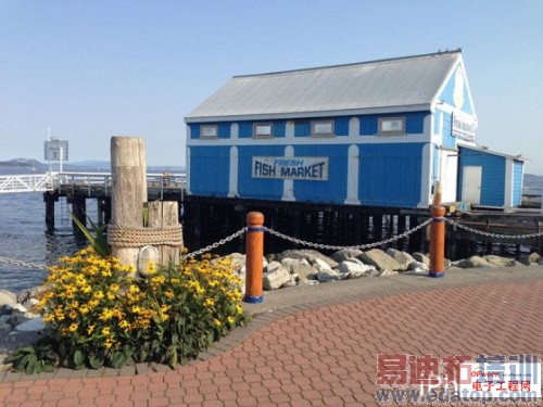 MX4�����ӣ�iPhone6����ƻ���������������