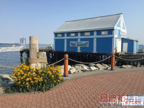 MX4�����ӣ�iPhone6����ƻ���������������