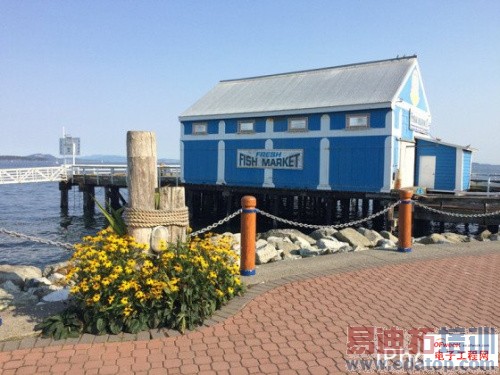 MX4�����ӣ�iPhone6����ƻ���������������