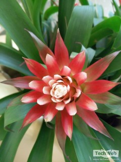 ����MX4��С��4���նԱȣ�����˭�ܸ�ʤһ�