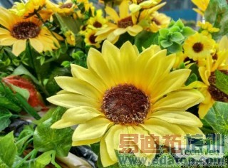 ����MX4��С��4���նԱȣ�����˭�ܸ�ʤһ�