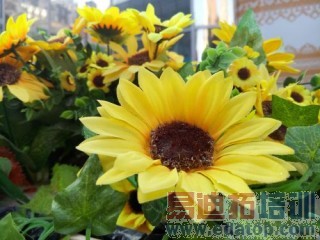 ����MX4��С��4���նԱȣ�����˭�ܸ�ʤһ�